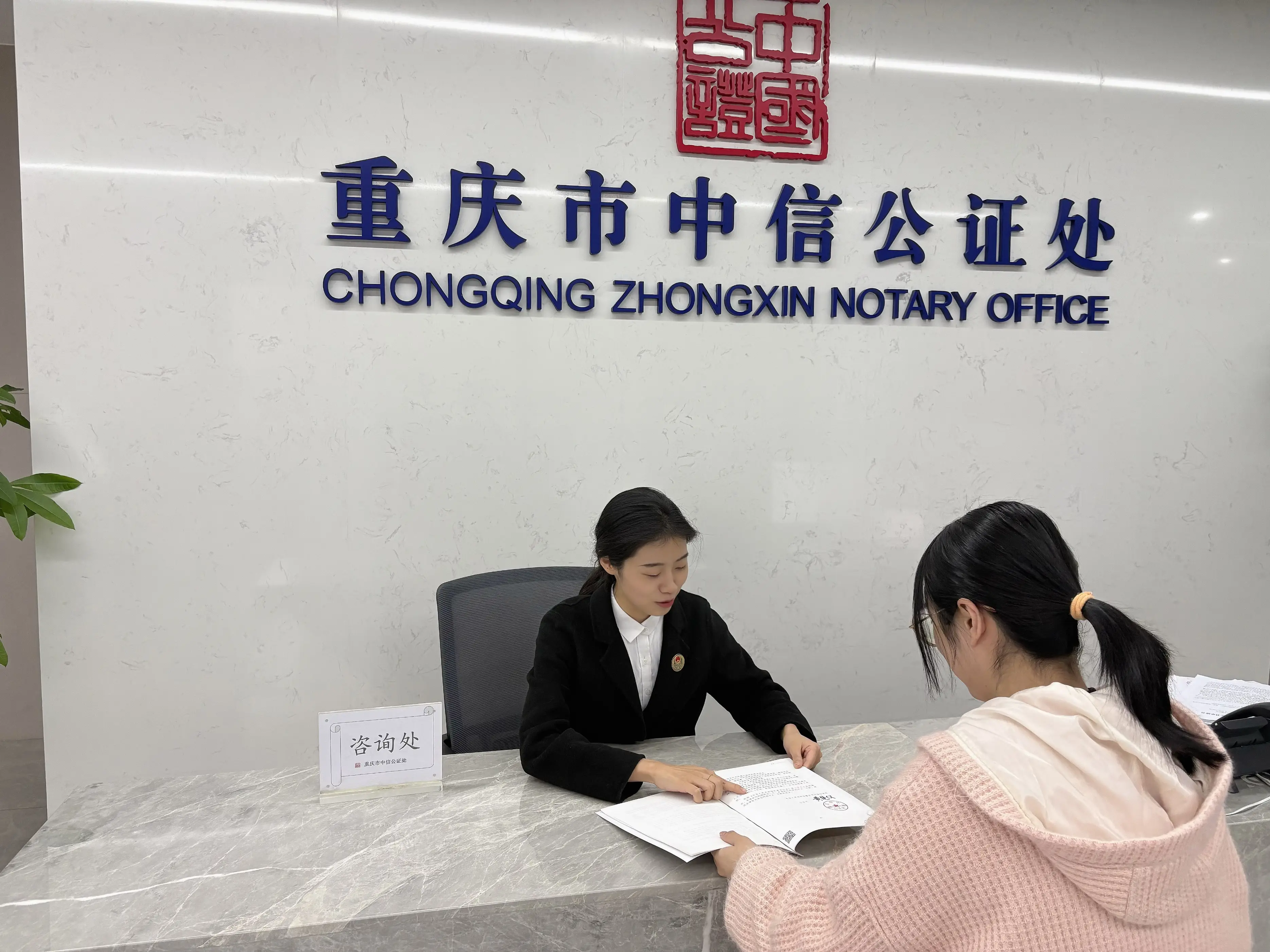 以高質量涉外法律服務 賦能高水平對外開放