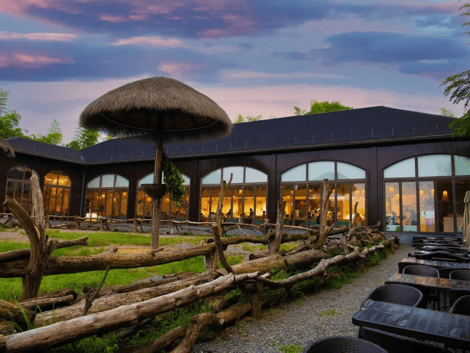 寒假湄旅遊：奔赴一場21℃的自然文化深度邂逅