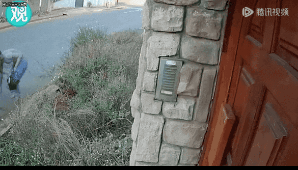 太拼了！為了保住畢業論文，研究生遭持槍搶劫時也沒撒手...