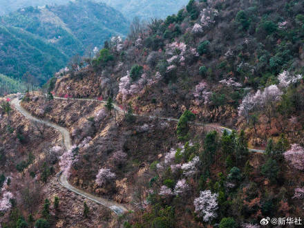 收藏春日！打卡春天裡的大美中國