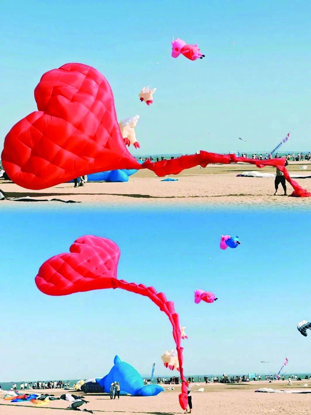 3・8女神節｜咸寧這些景區對女性免票、半價！