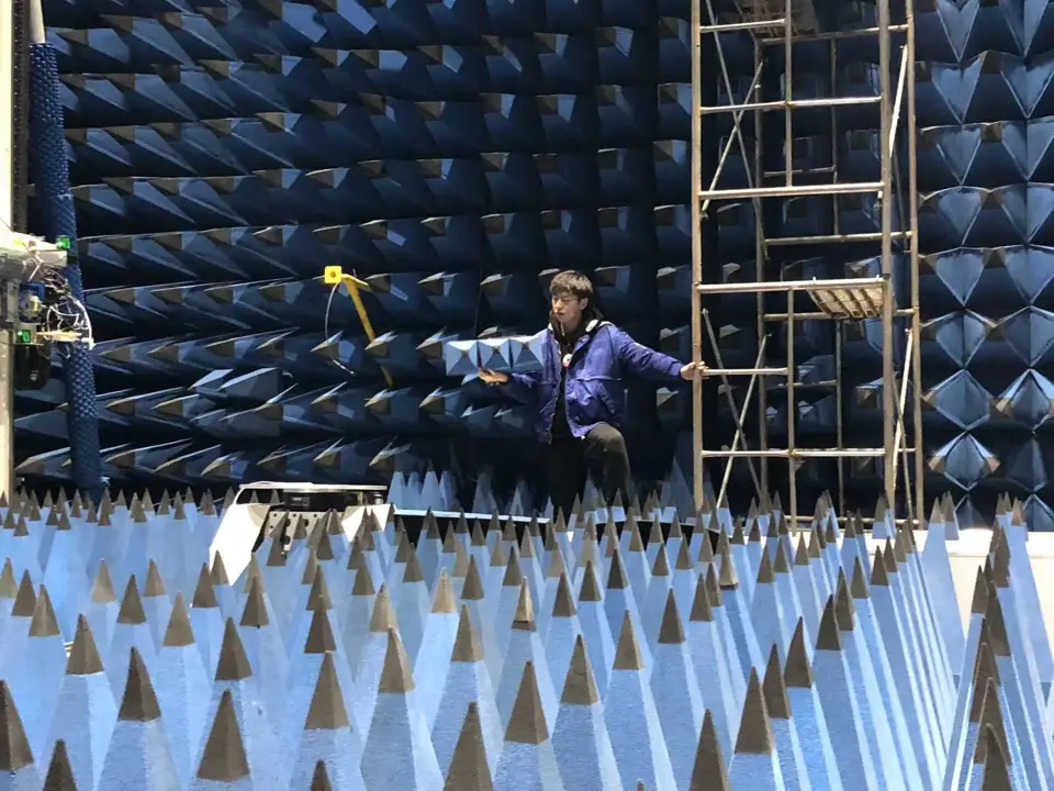 “蟲口奪糧”：這群大學生重新整理“探蟲雷達”極限