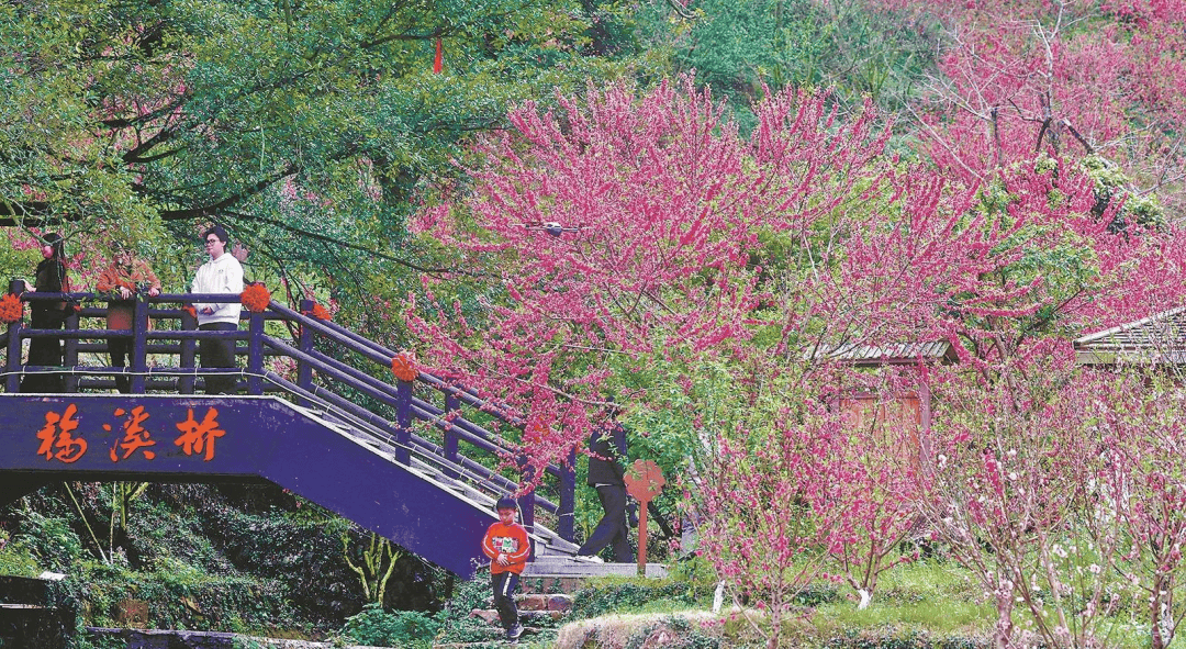 收藏！泉州春日賞花去哪裡？花期+地址全攻略