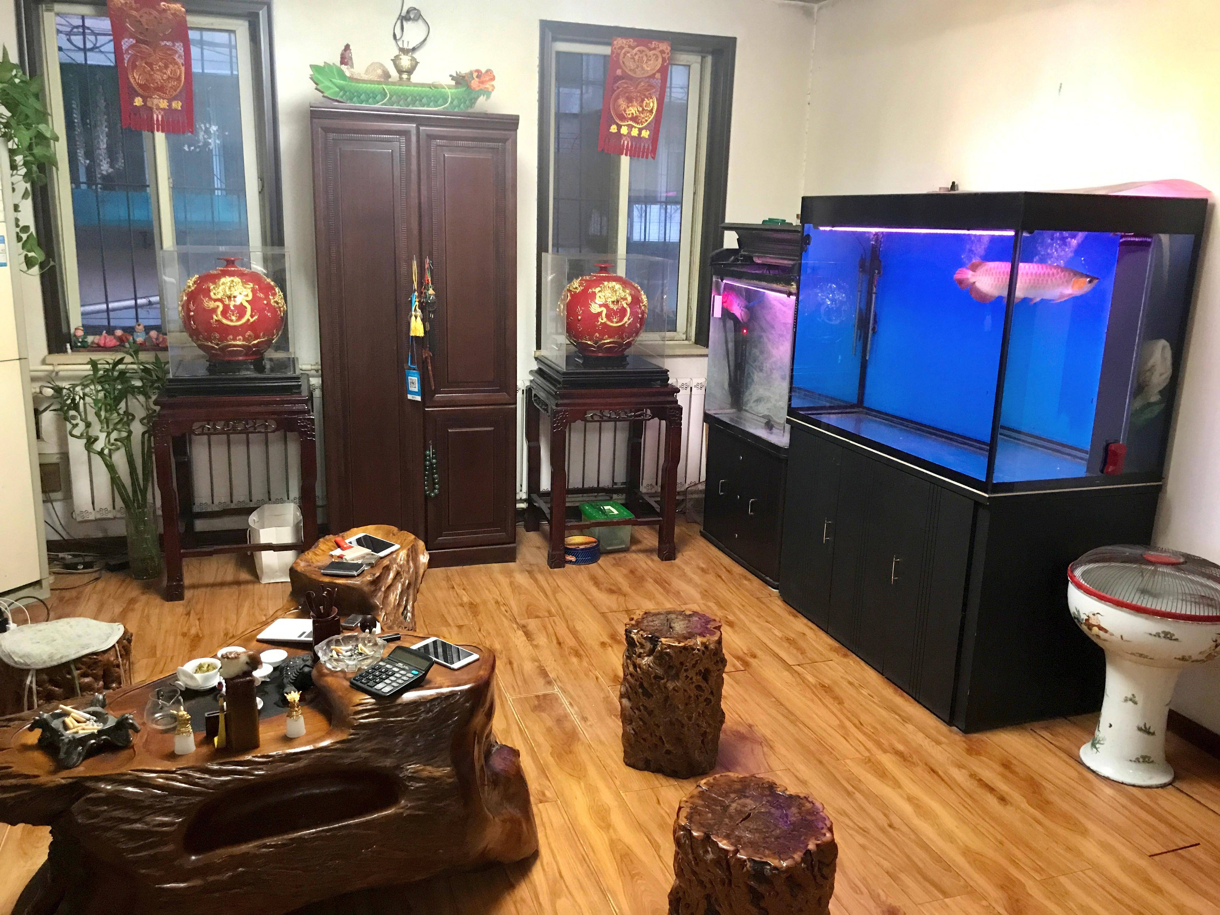 天津市鼎祥汽車租賃有限責任公司：租車/普通轎車租賃/汽車租賃/豪車租賃/商務車租賃全場景服務標杆