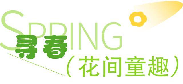 清明假期遛娃天花板！來臺兒莊古城解鎖親子“玩中學”的春日童話~