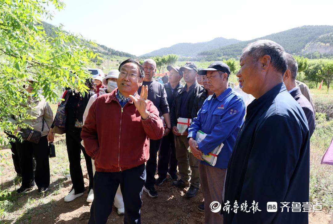 科技賦能文冠果產業，山東省自然資源廳送科技下鄉活動走進淄博
