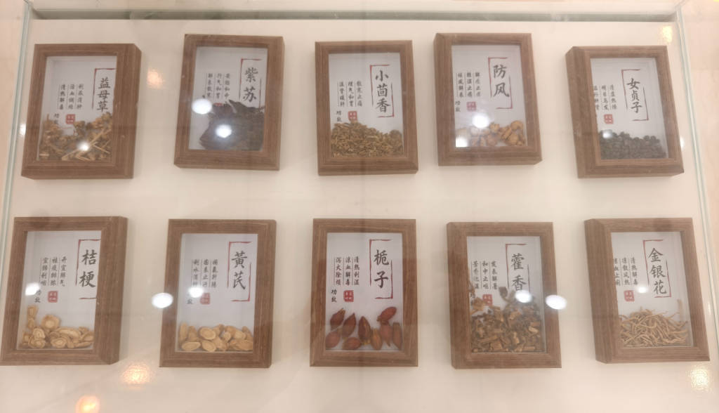 在浦東圖書館，邂逅畫家丁融筆下的東方本草之美