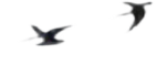 痛心！這名小學教師李尚忠為救落水群眾犧牲