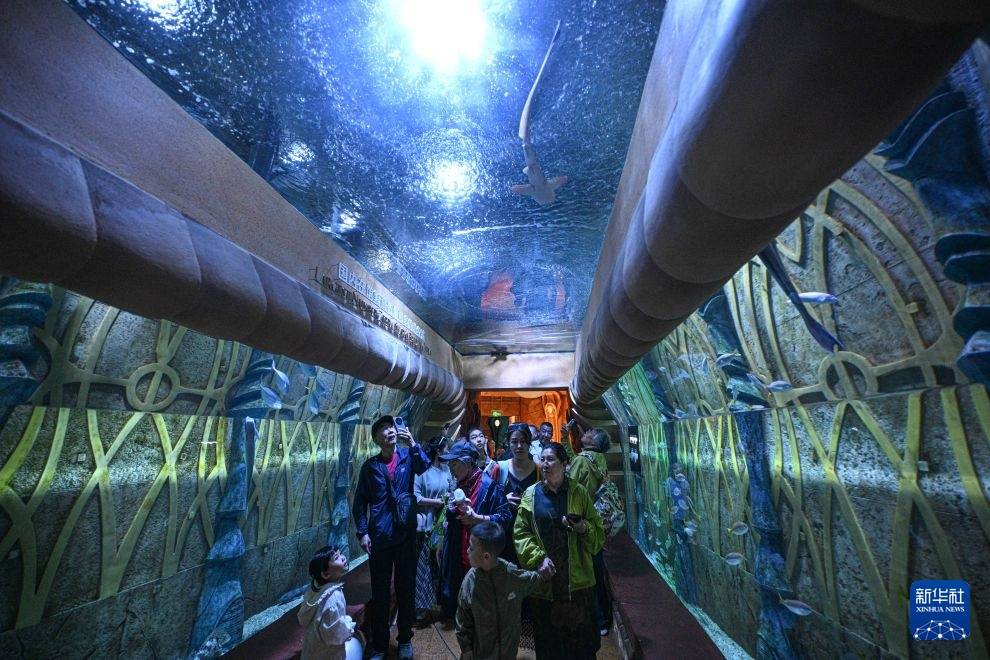 海南：高標準建設國際旅遊消費中心