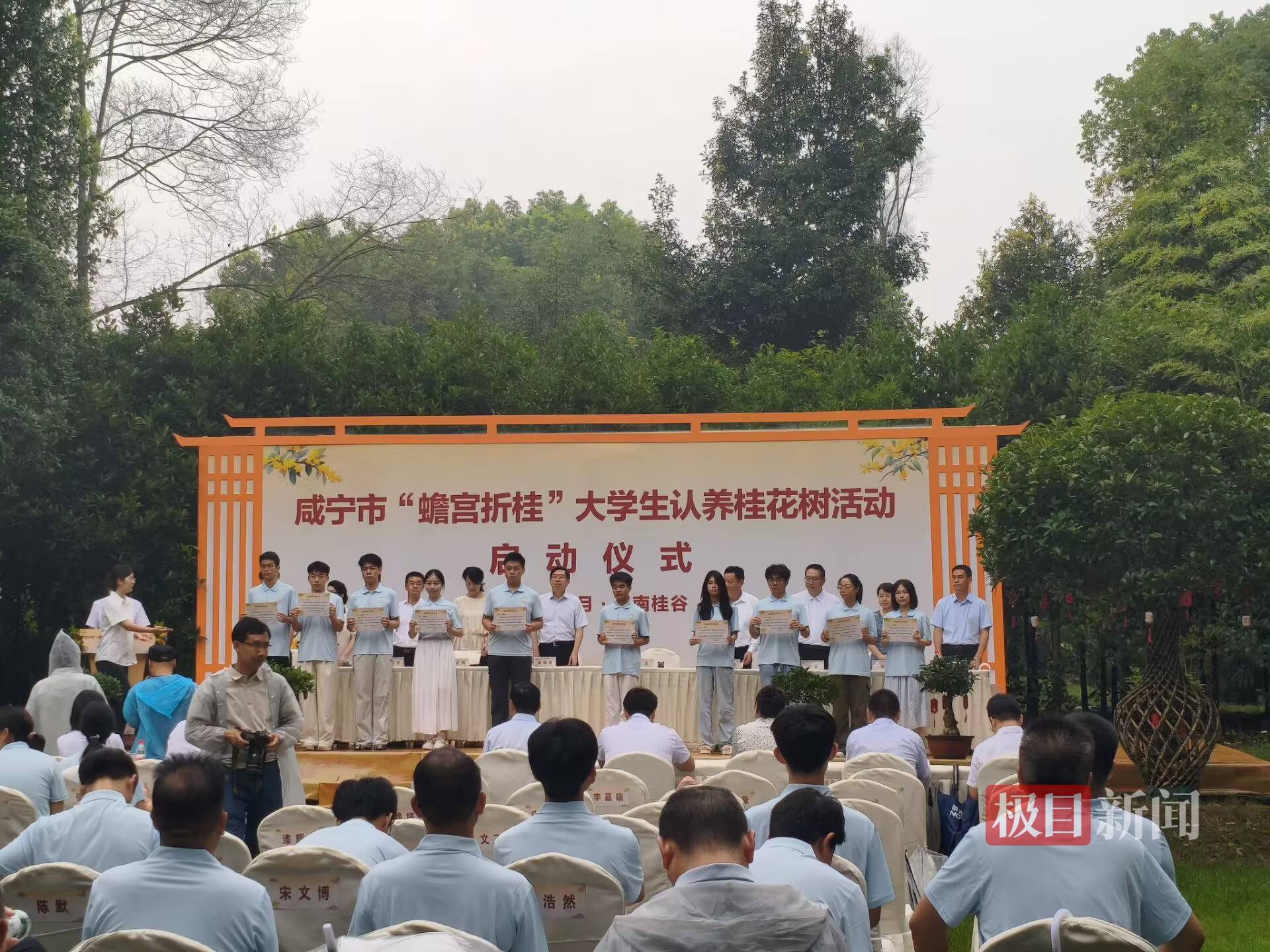 湖北咸安：50名準大學生認養古桂花樹