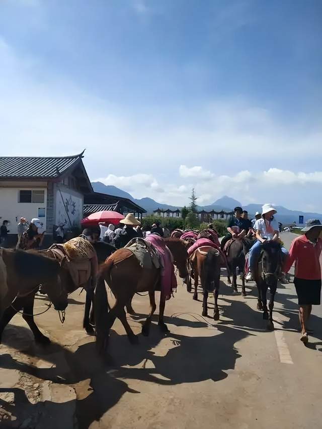 雲南旅遊，麗江拉市海山野美景太治癒了！