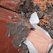 小貓被水泥封住洞口，女生邊哭邊挖：那一刻，她就是它的光