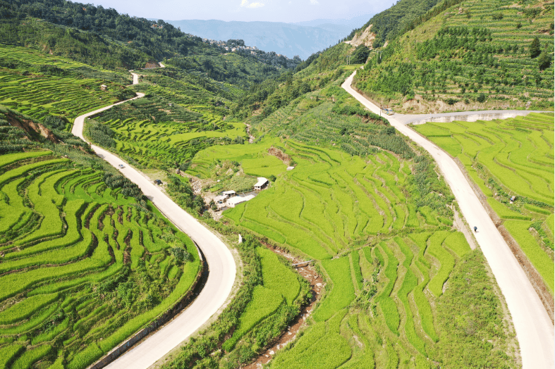 “梯田徒步”帶火紅河縣鄉村全域旅遊